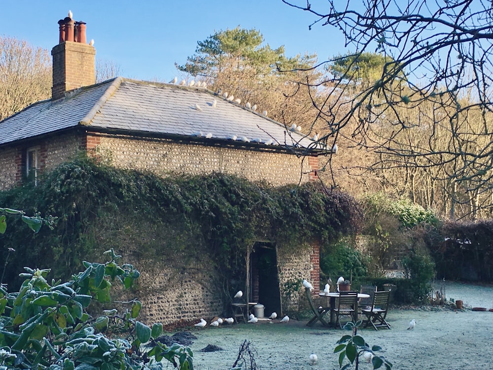 a brick building with ivy growing up the side of it