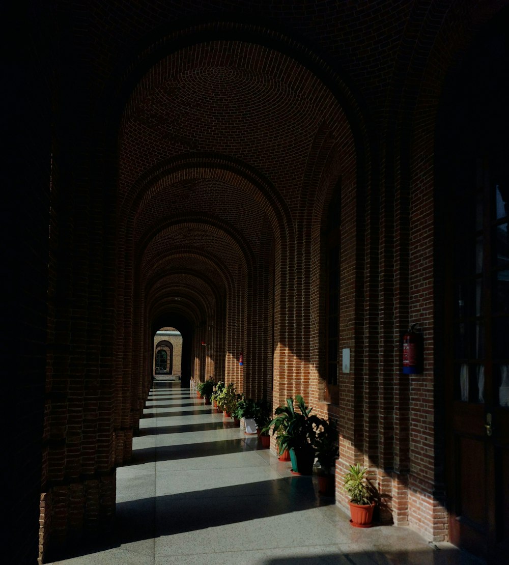 a long hallway with potted plants on either side of it