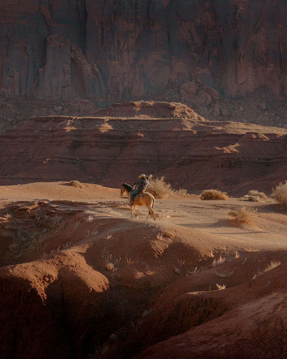 a person riding a horse in the desert