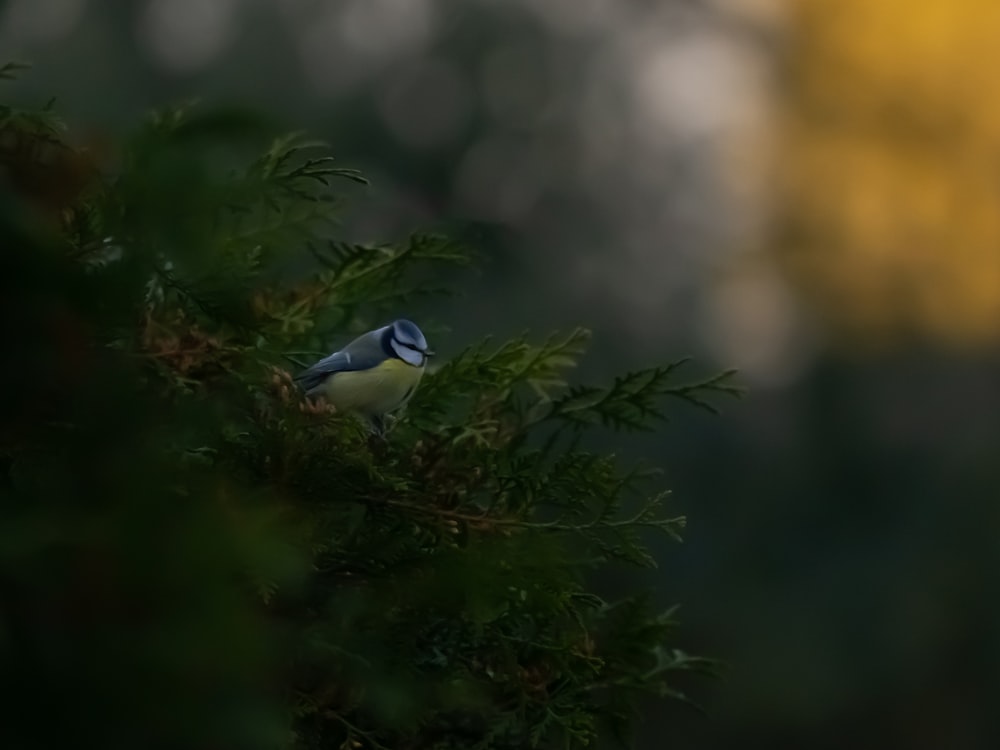 a small bird perched on top of a tree branch