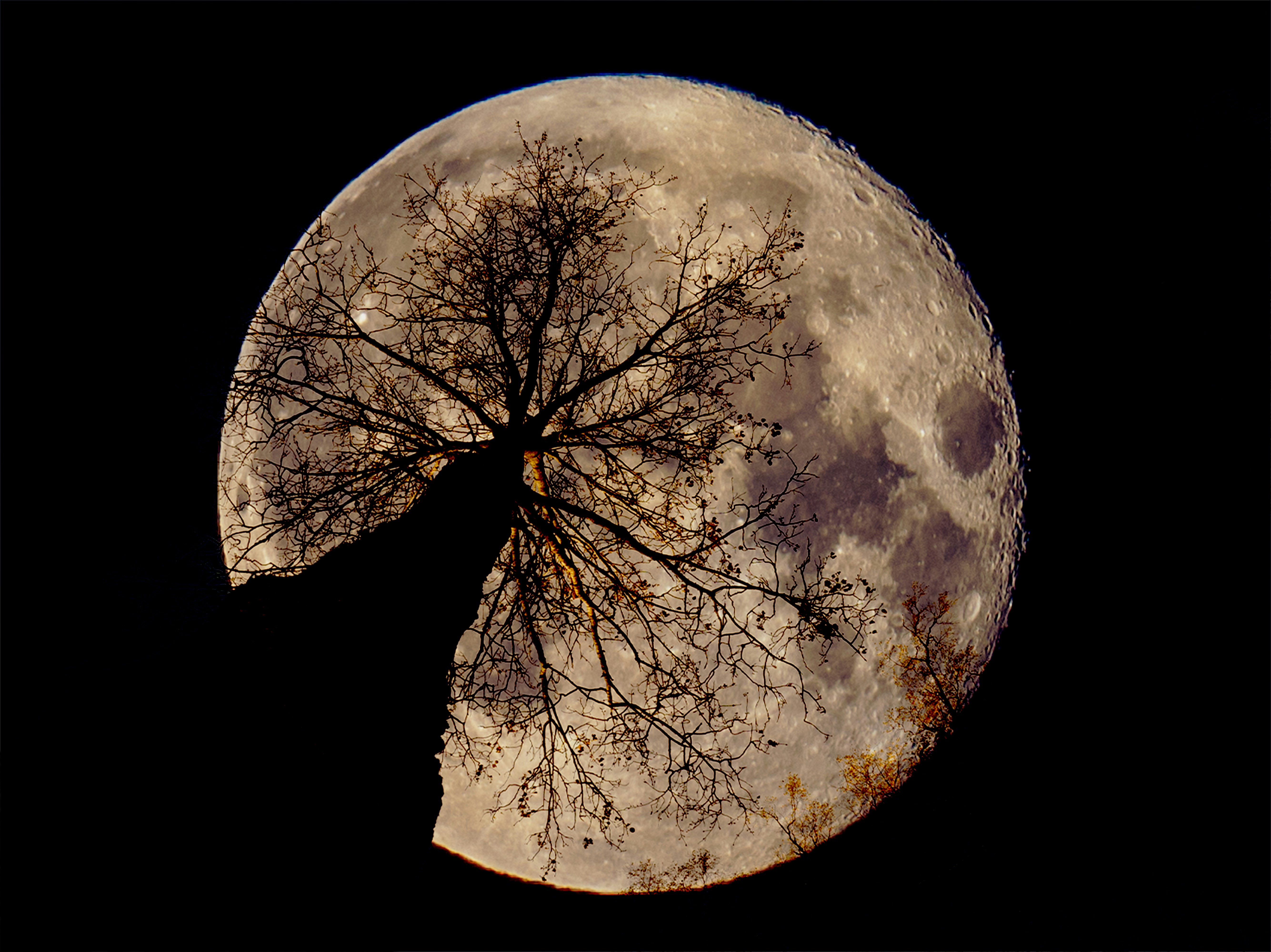 6 Lunar Astrology Insights for Relationship Harmony