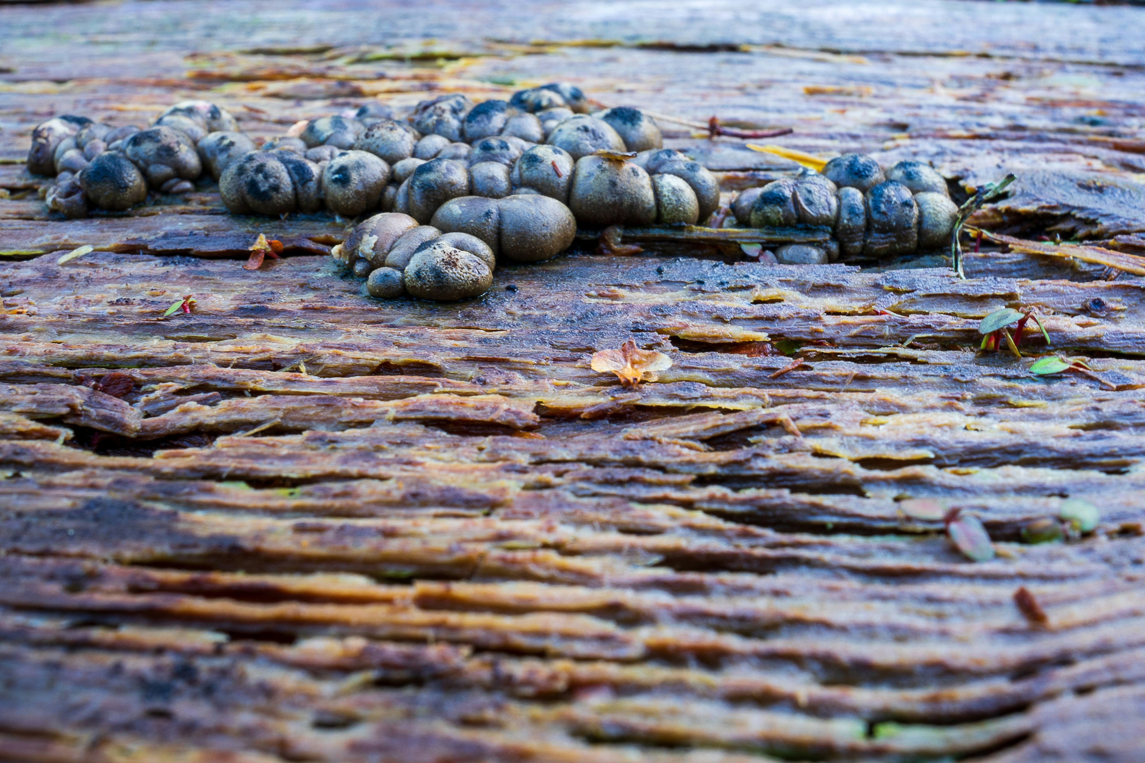 ein Haufen Steine, die auf dem Boden sitzen