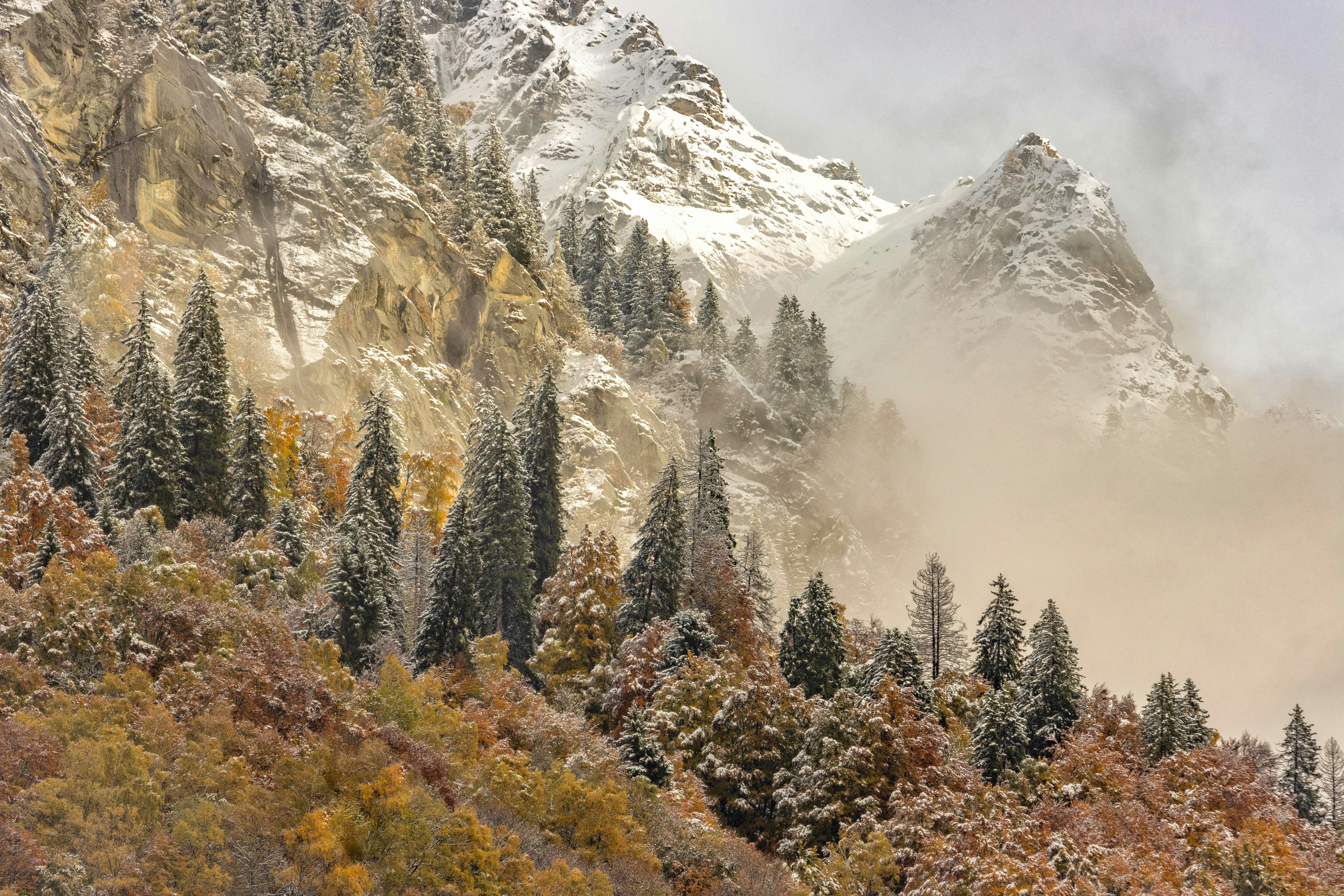 una montagna coperta di neve e circondata da alberi
