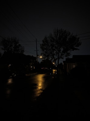 A quiet street scene with soft evening light and subtle reflections on wet pavement.