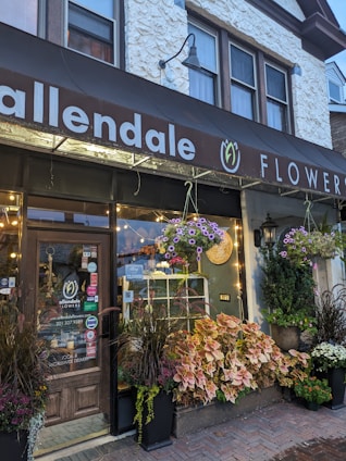A charming flower shop exterior with a wooden door and a large display window. The storefront is adorned with various potted plants and colorful flowers hanging and arranged at the entrance. The sign above the shop reads 'Allendale Flowers' with decorative elements, and small lights add warmth to the scene.