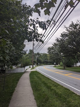 A quiet suburban street with a sidewalk on the left flanked by grass and a white picket fence. Overhead, power lines run parallel to the road, which curves gently to the right. Trees with dense foliage are present on both sides of the street creating a lush, green environment. The sky is overcast, giving the scene a tranquil and calm feel.