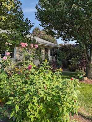 A charming garden area with vibrant flowers and greenery.