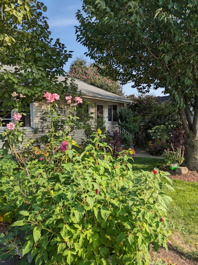 Lush garden surrounding the guest house with blooming flowers and shaded paths.