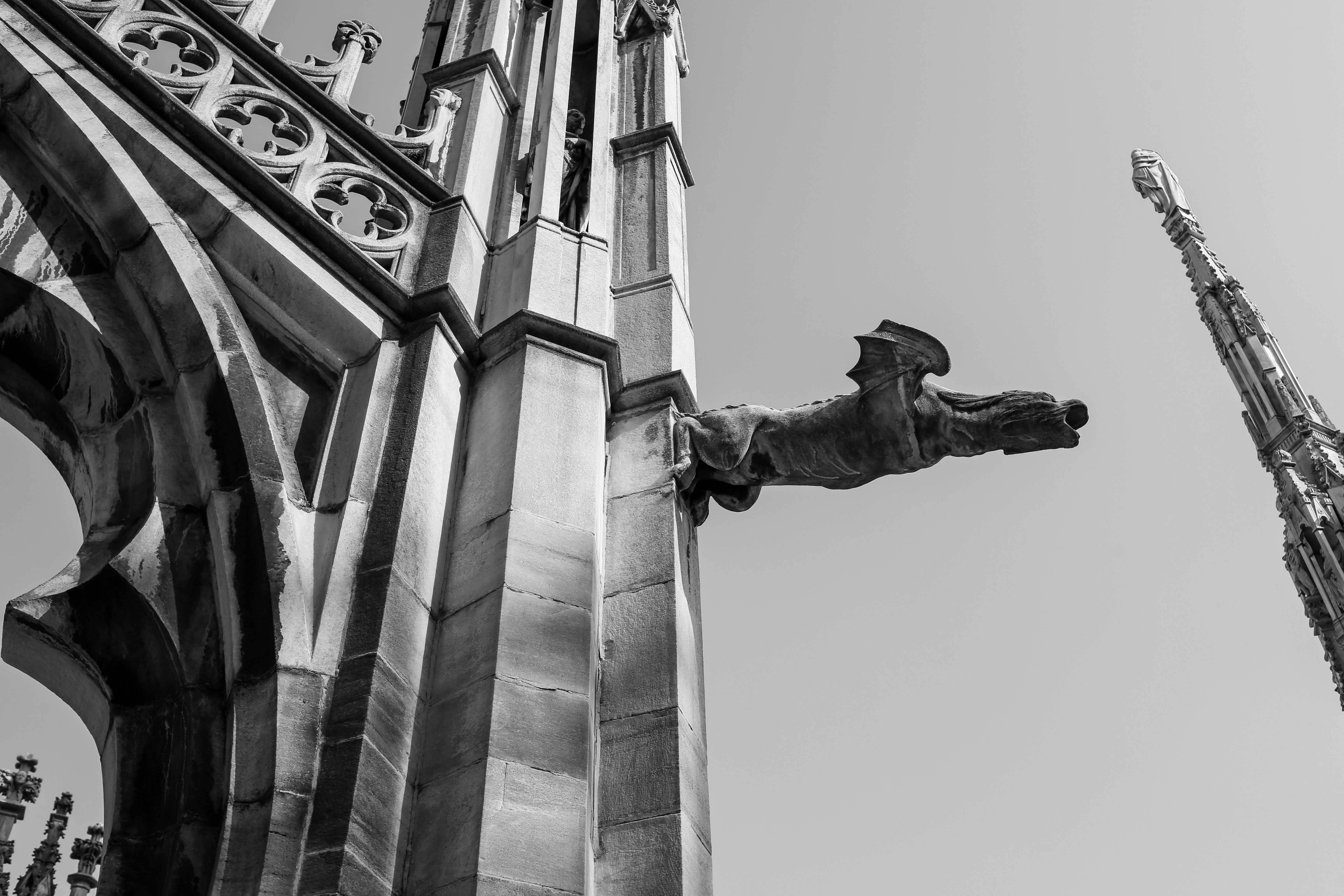 Photo by giorgiotrovato