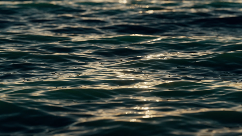 the sun shines on the water as it reflects off the surface of the water