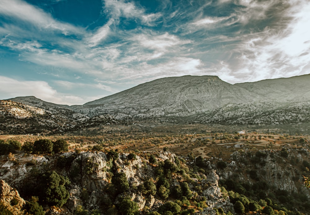 a scenic view of a mountain range with trees and bushes