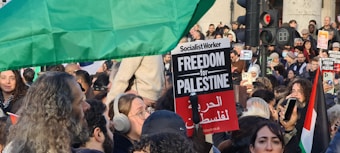 A large group of people are gathered in a public setting, holding signs and flags. One prominent sign reads 'Freedom for Palestine' in both English and Arabic. The crowd is diverse, with individuals taking photos or videos, wearing headphones, and appearing engaged. There are several flags visible, including one prominently in the foreground.