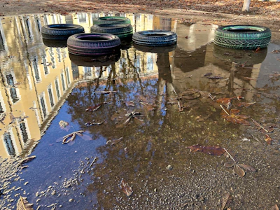 a group of tires sitting on top of a puddle of water