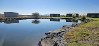 A peaceful lotus pond reflecting the clear sky at Shri Arvind Society.