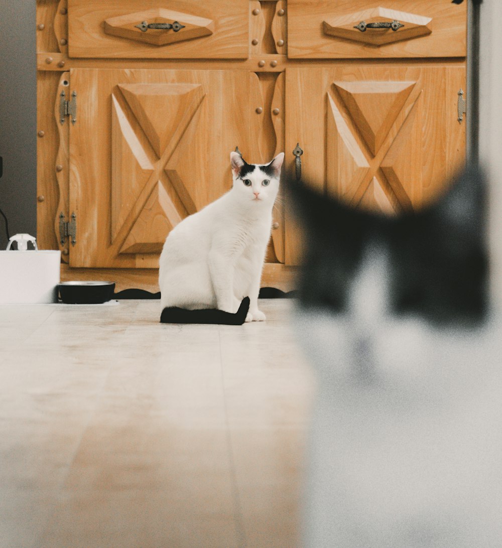 a black and white cat sitting on top of a wooden dresser