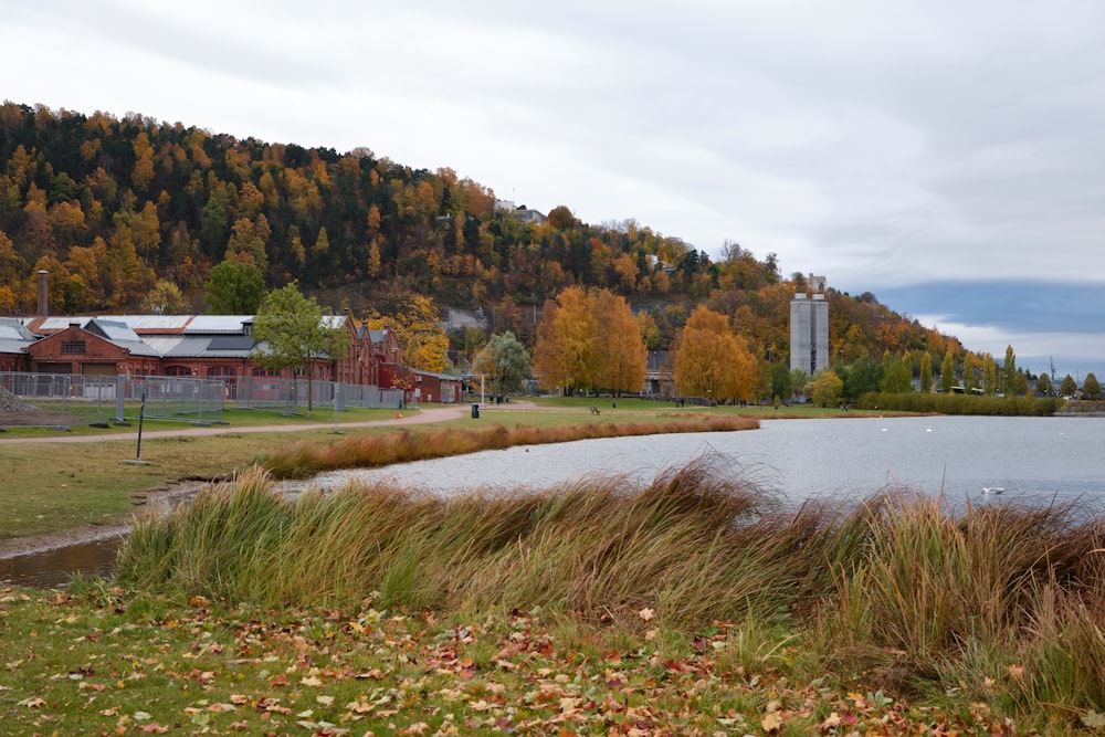 a body of water surrounded by grass and trees