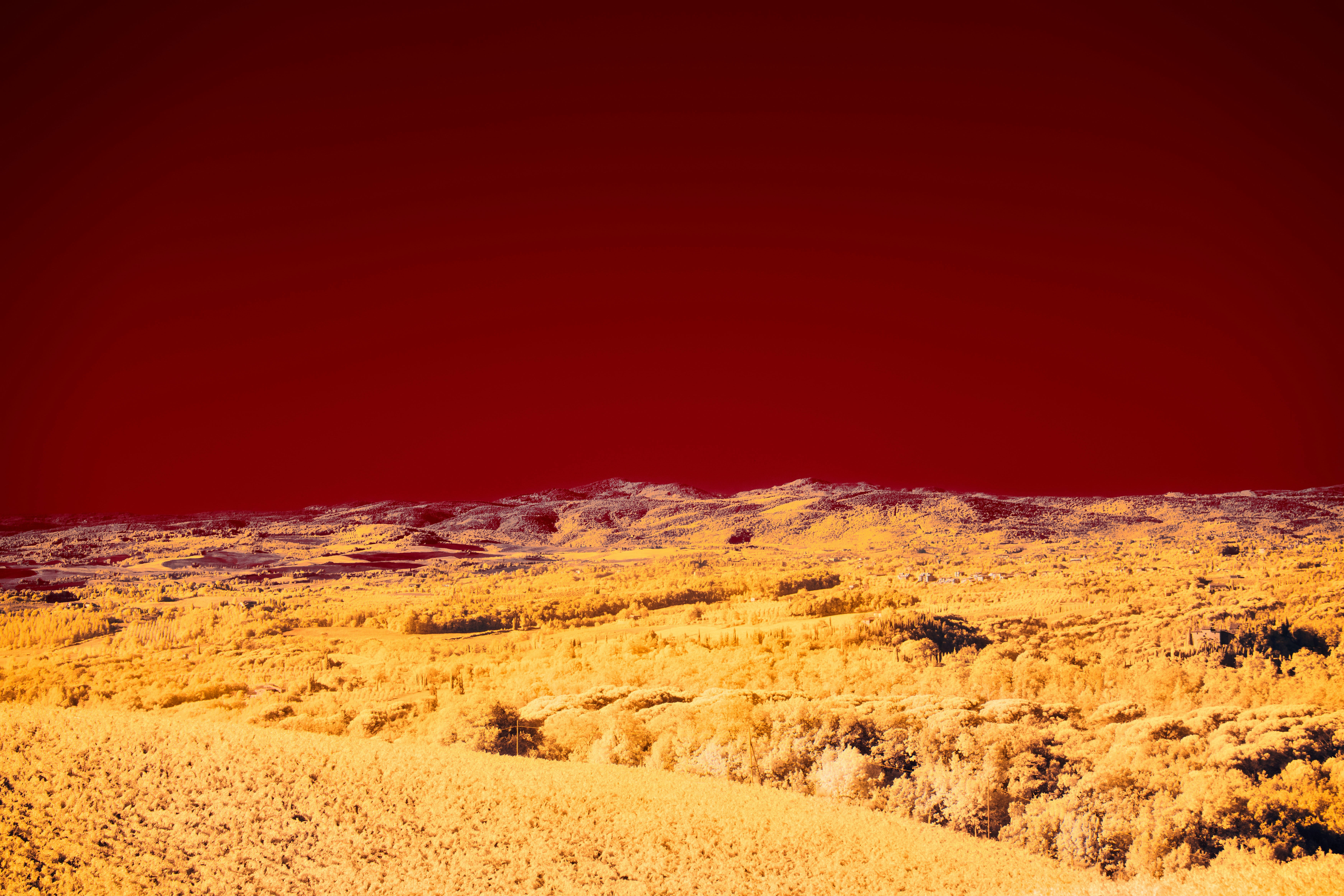 Photo by wolfgang_hasselmann