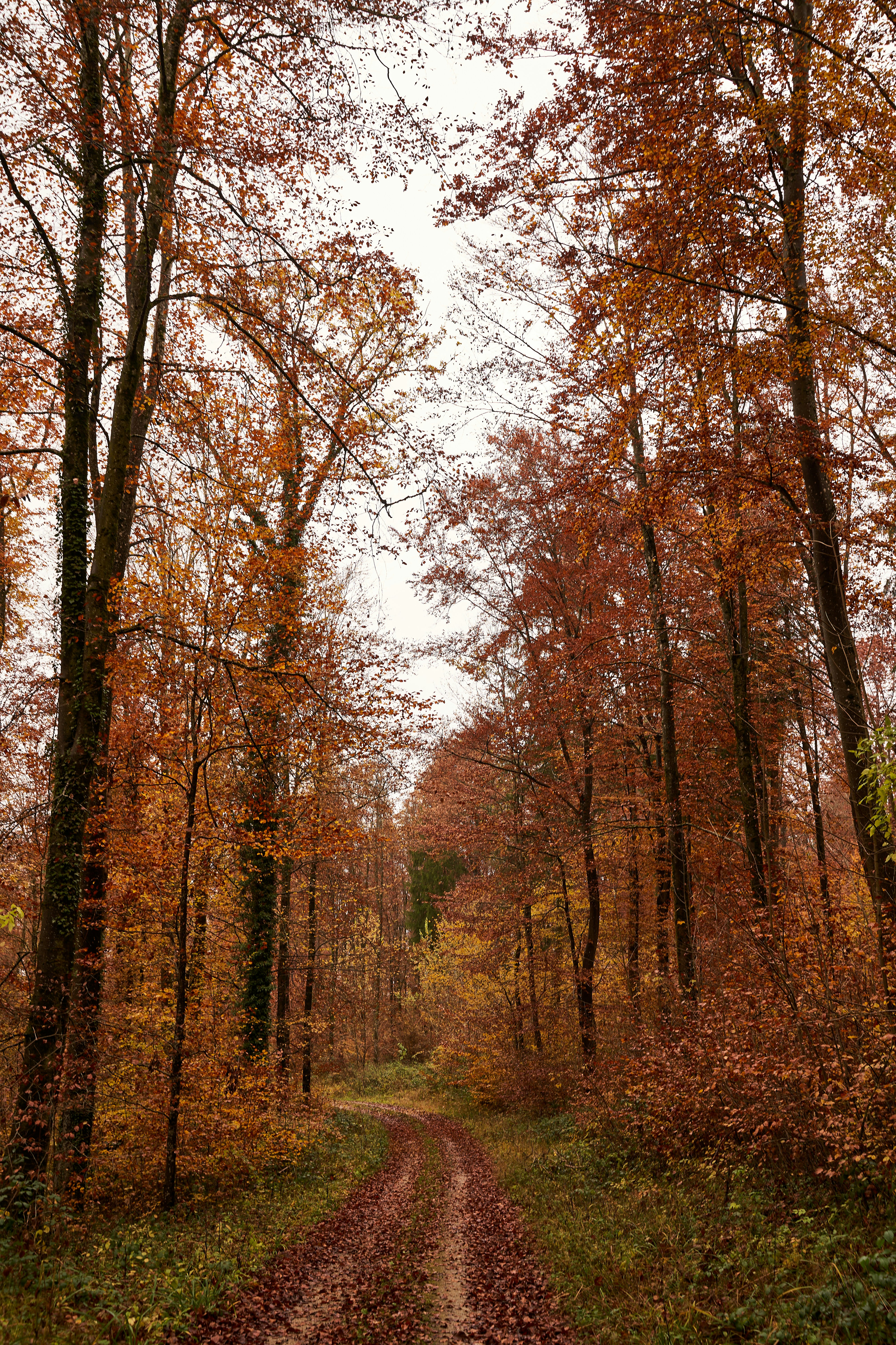 Photo by wolfgang_hasselmann