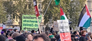 A large group of people is gathered outside, holding signs and flags. The signs include messages like 'Freedom for Palestine' and others opposing Zionism. The crowd appears to be engaged in a protest or rally, with a mix of homemade and printed placards. The background shows trees and a large building.