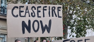 A cardboard sign with the bold black letters 'CEASEFIRE NOW' held in an outdoor environment. Behind the sign, a glimpse of a tree with green leaves and a portion of a building is visible. Additional signs can be partially seen in the background.