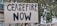 A cardboard sign with the bold black letters 'CEASEFIRE NOW' held in an outdoor environment. Behind the sign, a glimpse of a tree with green leaves and a portion of a building is visible. Additional signs can be partially seen in the background.