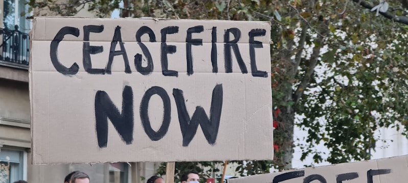 A cardboard sign with the bold black letters 'CEASEFIRE NOW' held in an outdoor environment. Behind the sign, a glimpse of a tree with green leaves and a portion of a building is visible. Additional signs can be partially seen in the background.