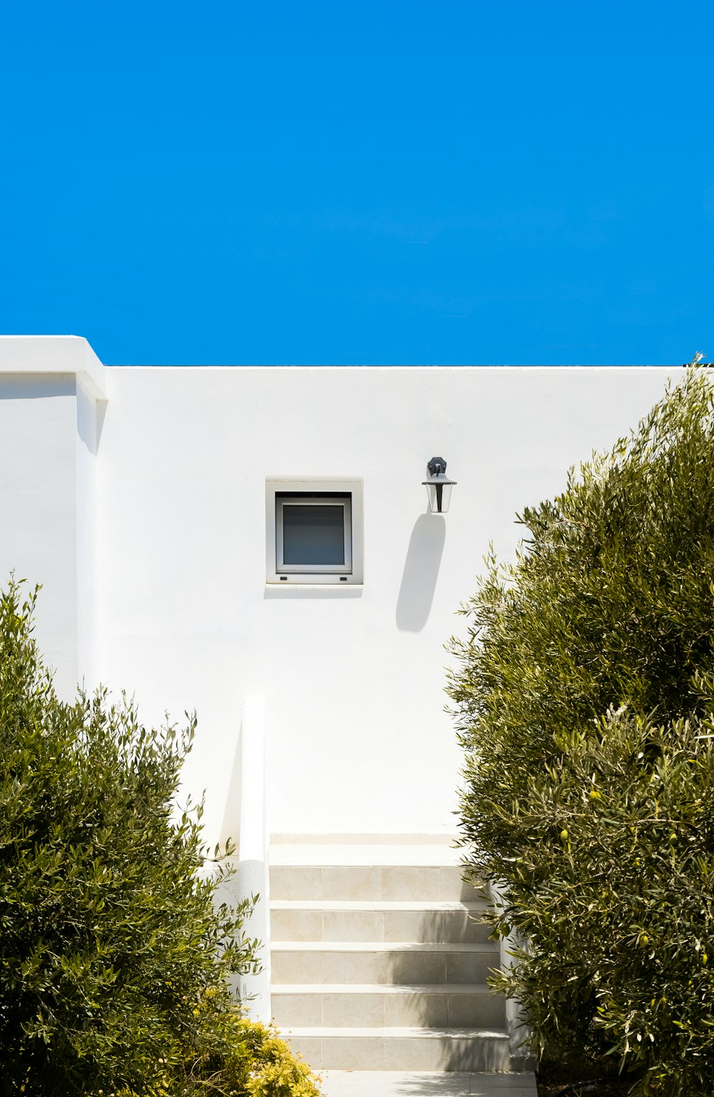 a white building with steps leading up to it