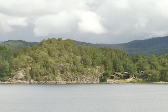 A serene landscape featuring a calm body of water in the foreground, surrounded by dense forested hills. A few rustic cabins are nestled among the trees, suggesting a remote and peaceful location. The sky is overcast with large, soft clouds hanging above the scene, adding to the tranquil ambiance.