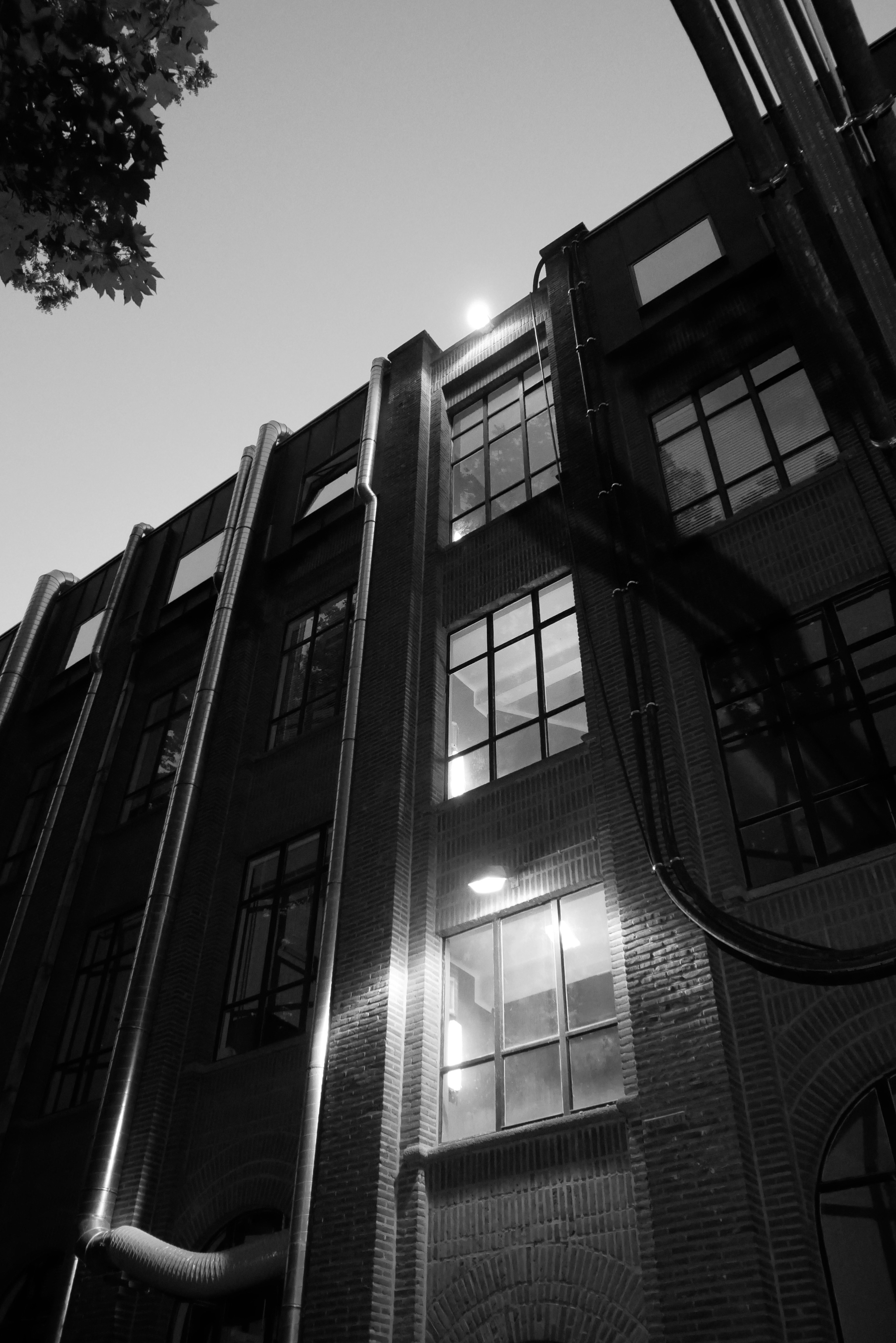 Photo by ottofreijser