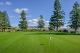 A scenic view of a golf course with multiple target holes under a clear sky.