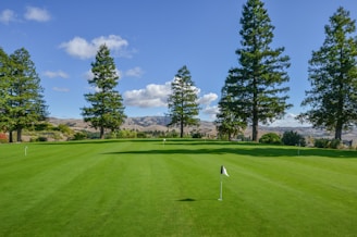 A scenic view of a golf course with multiple target holes visible.