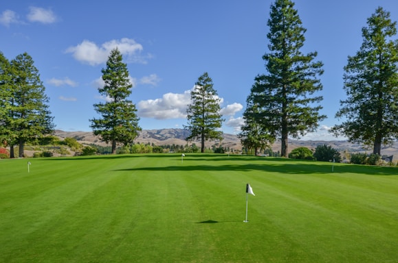 A scenic view of the Ribeira Pitch & Putt golf course with players enjoying a sunny day.