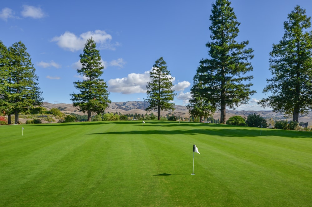 a green golf course with a flag and trees