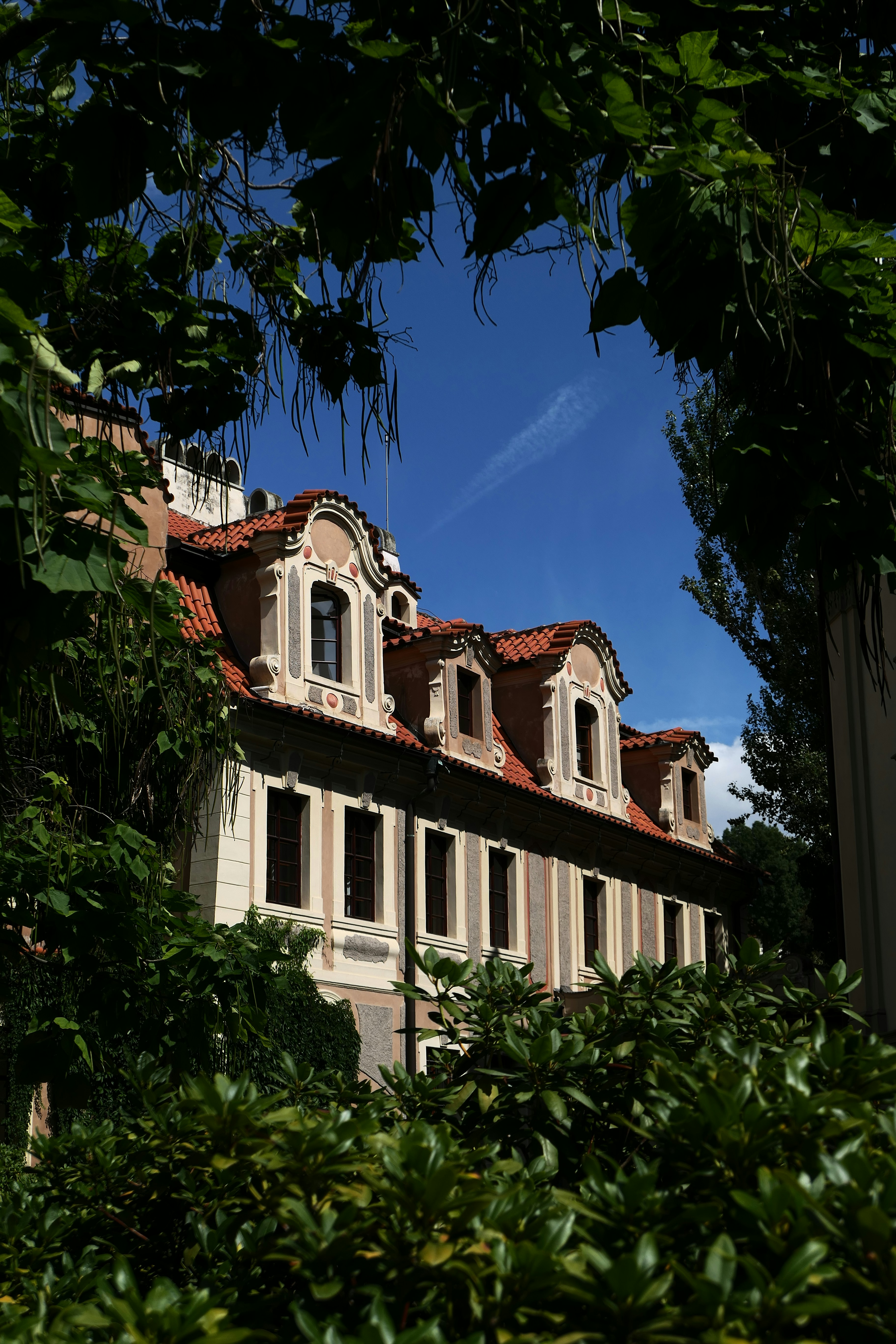 Photo by ottofreijser