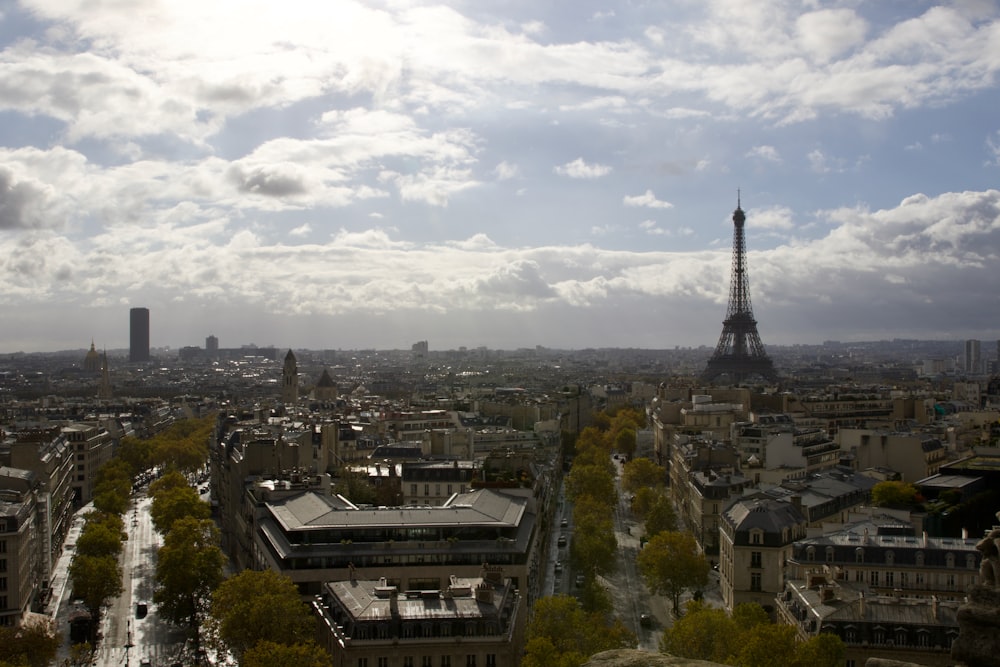 the eiffel tower towering over the city of paris