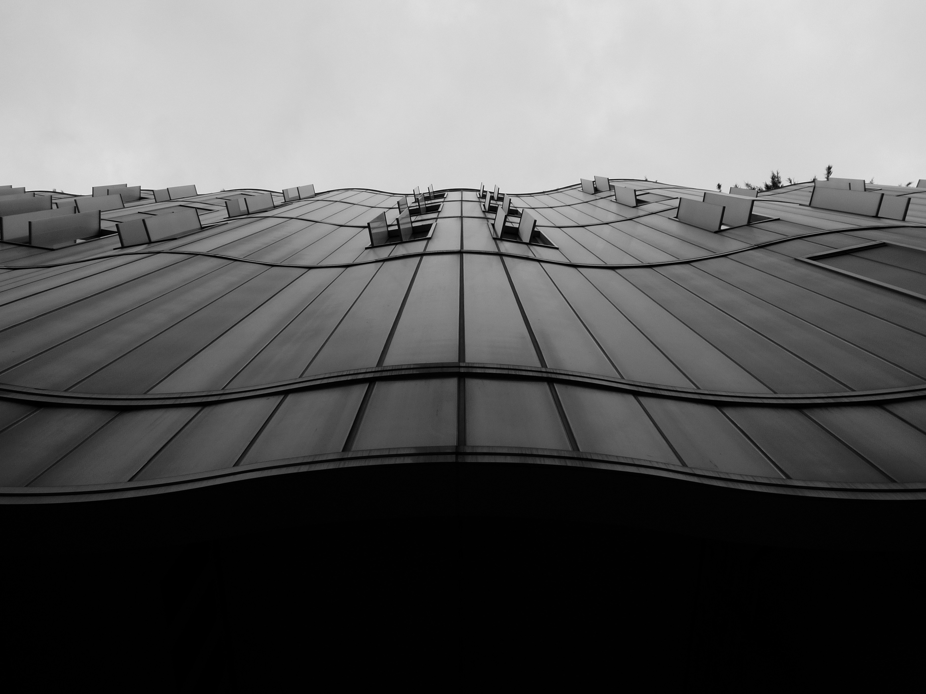 Photo by ottofreijser