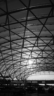 An intricate lattice structure with curved beams, allowing light to filter through. The silhouette of vehicles is visible at the bottom, indicating an urban setting beneath a vast dome-like roof.