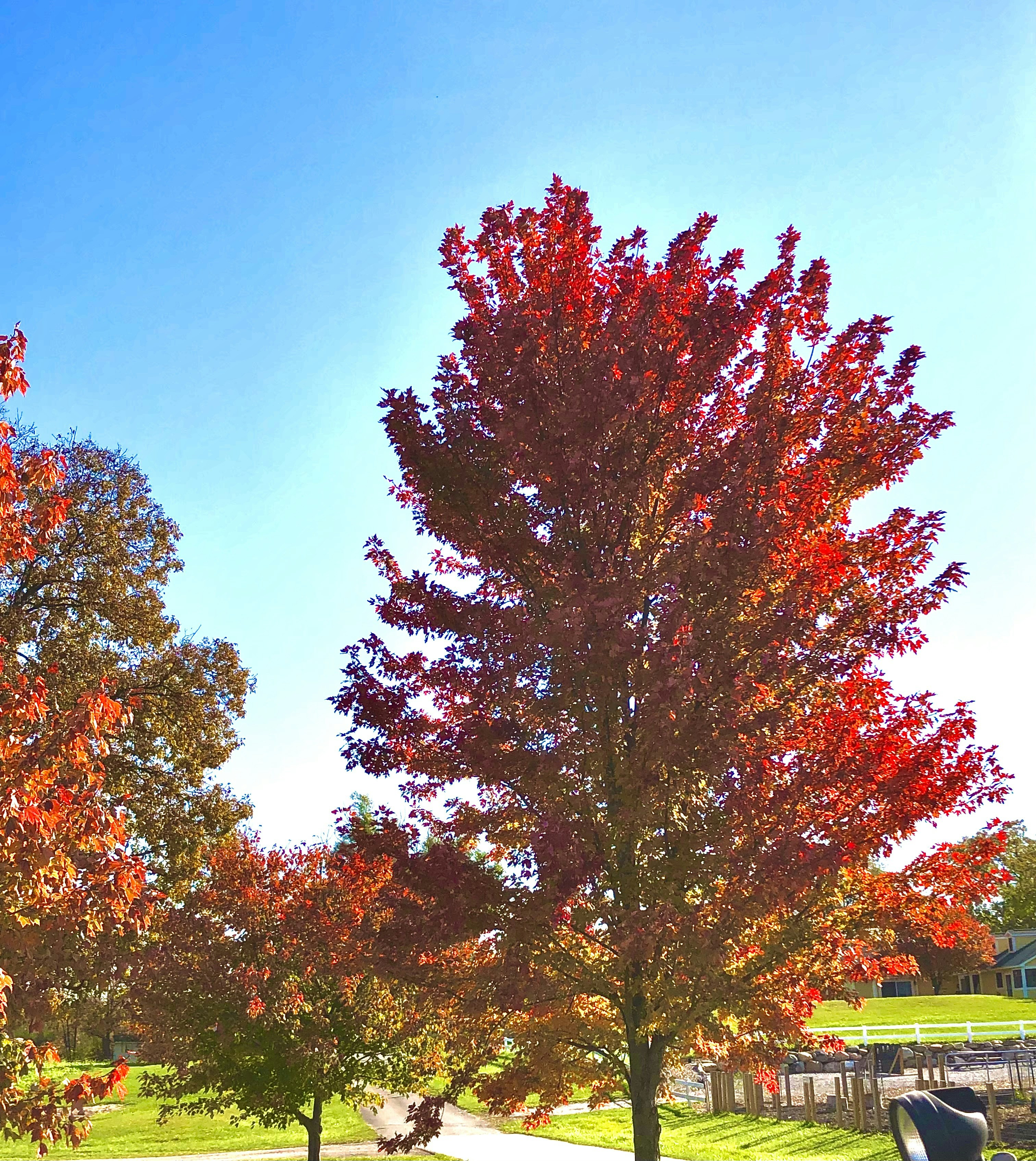 Photo by wanderershoot