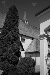 Black and white photo of the Fallsvale Historic Schoolhouse exterior circa 1920, showing its original wooden structure and surrounding trees.