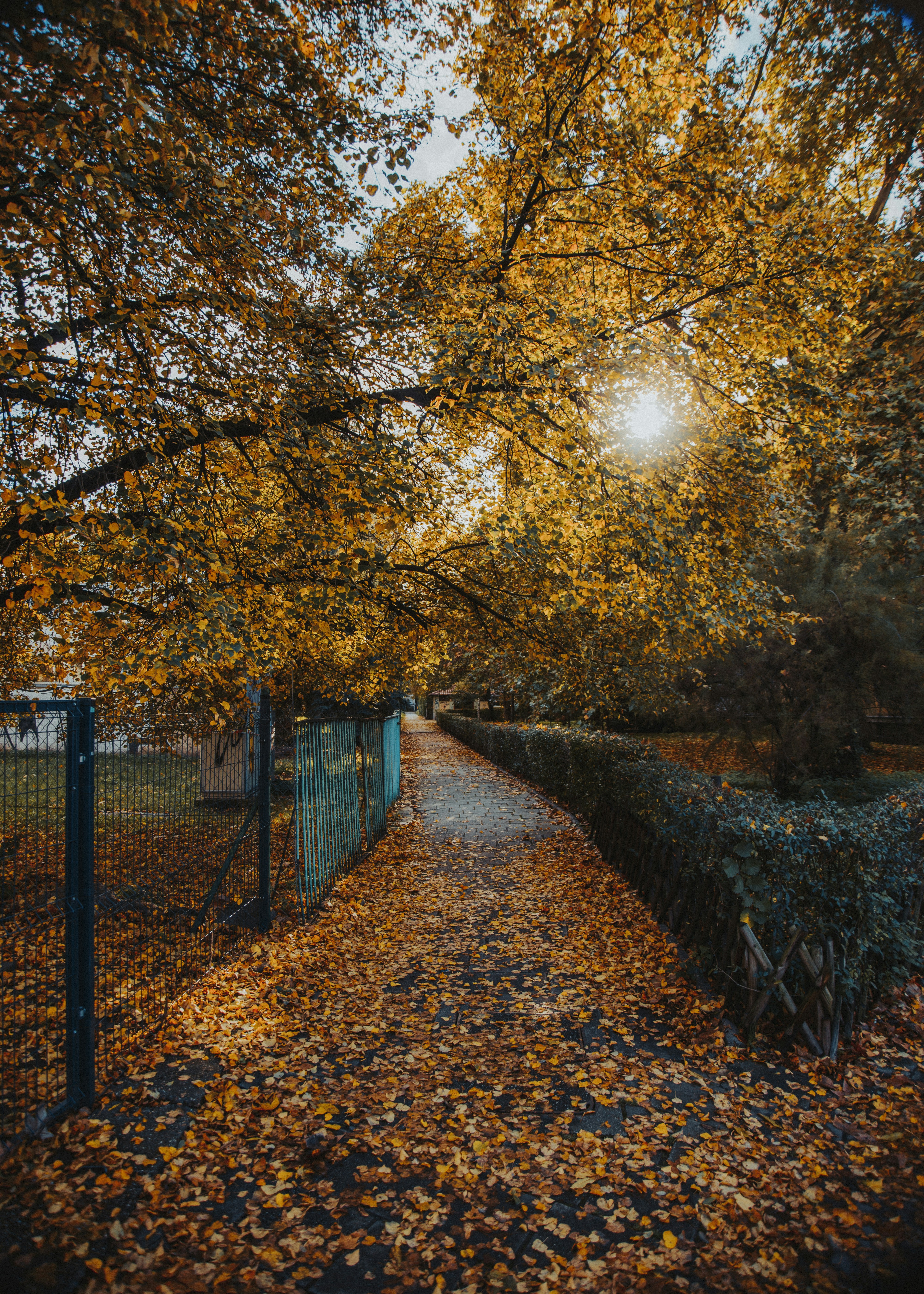 Photo by iamfrancismorgan