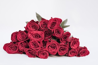 A bouquet of vibrant red roses arranged neatly, with several green leaves interspersed. The roses are rich in color, and the petals are velvety and fresh. The background is a simple, light color which makes the red of the roses stand out prominently.