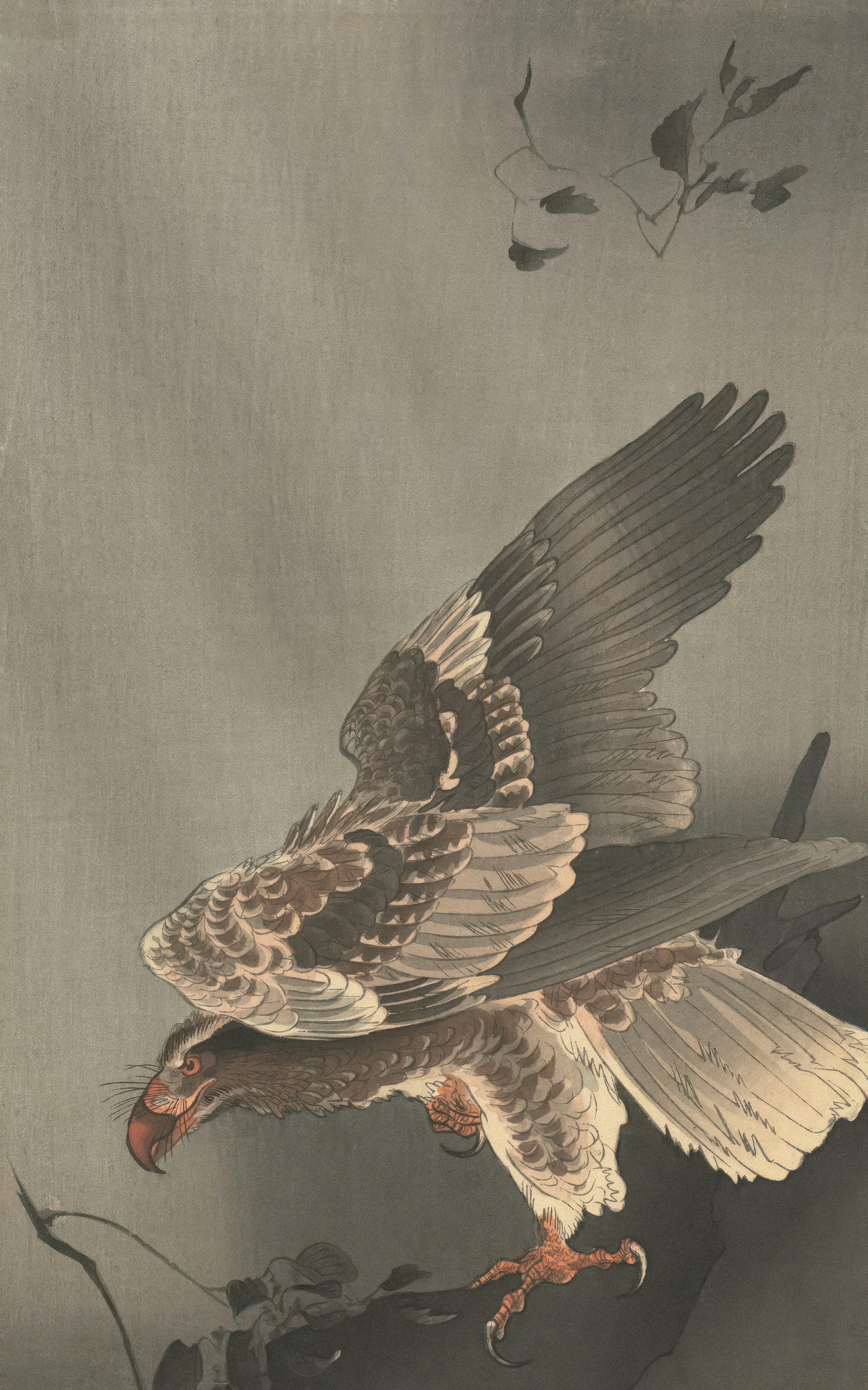 Foto Lukisan burung terbang di atas cabang – Gambar Seni Gratis di Unsplash, image size:3000x4801