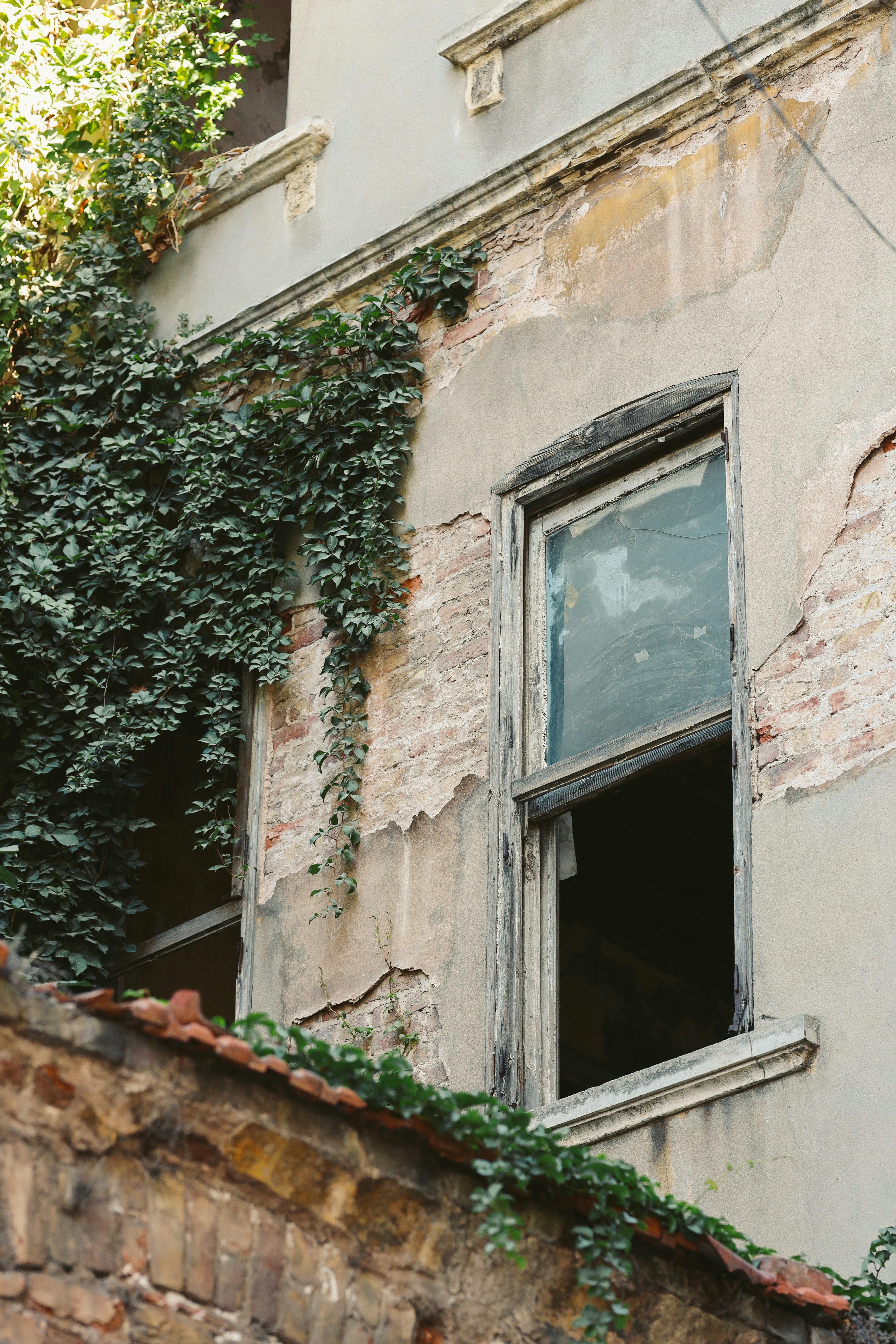 Photo by himo_beast1996