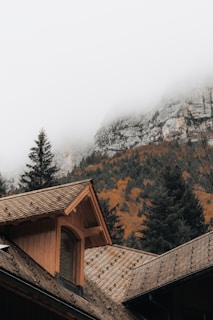 A wooden house with a pitched roof nestled among pine trees. In the background, there is a mountainous landscape partially obscured by fog. The autumn foliage on the mountain adds a splash of orange and yellow color.