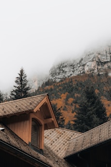 A wooden house with a pitched roof nestled among pine trees. In the background, there is a mountainous landscape partially obscured by fog. The autumn foliage on the mountain adds a splash of orange and yellow color.
