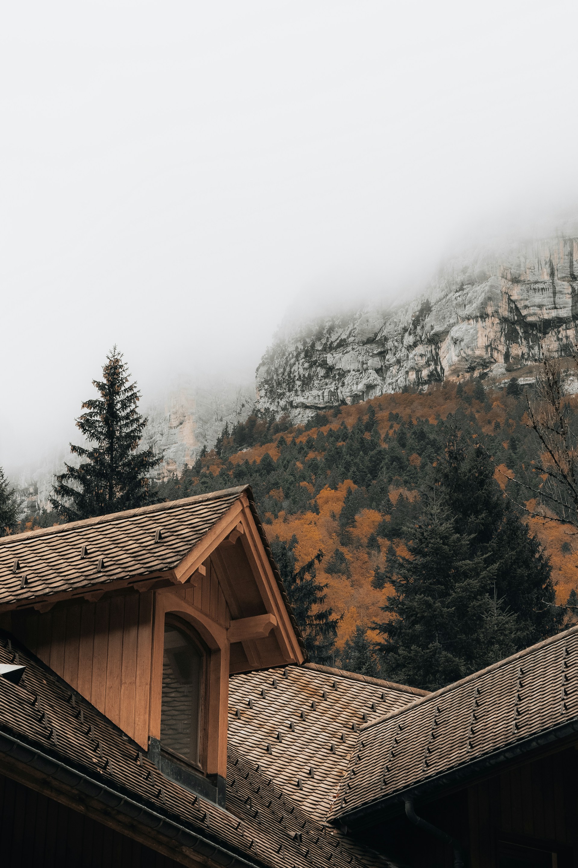 A cozy wooden cottage nestled among pine trees with misty mountain peaks in the background at sunrise.