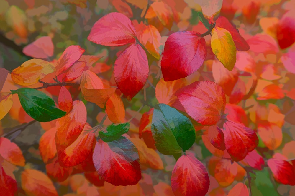 a bunch of leaves that are on a tree