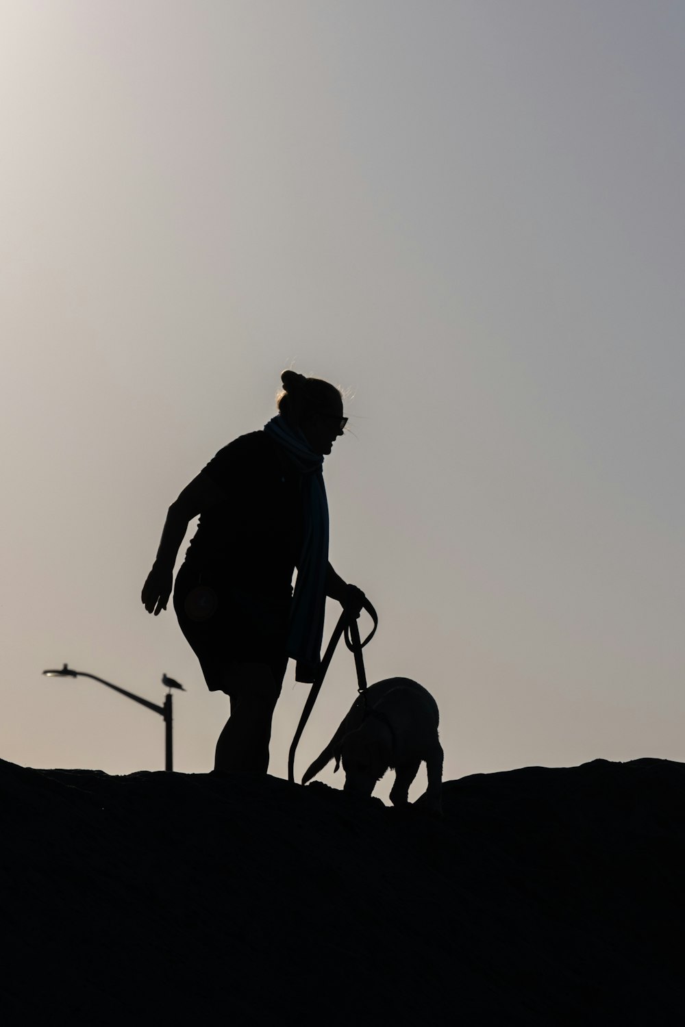 a person walking with a dog on a hill