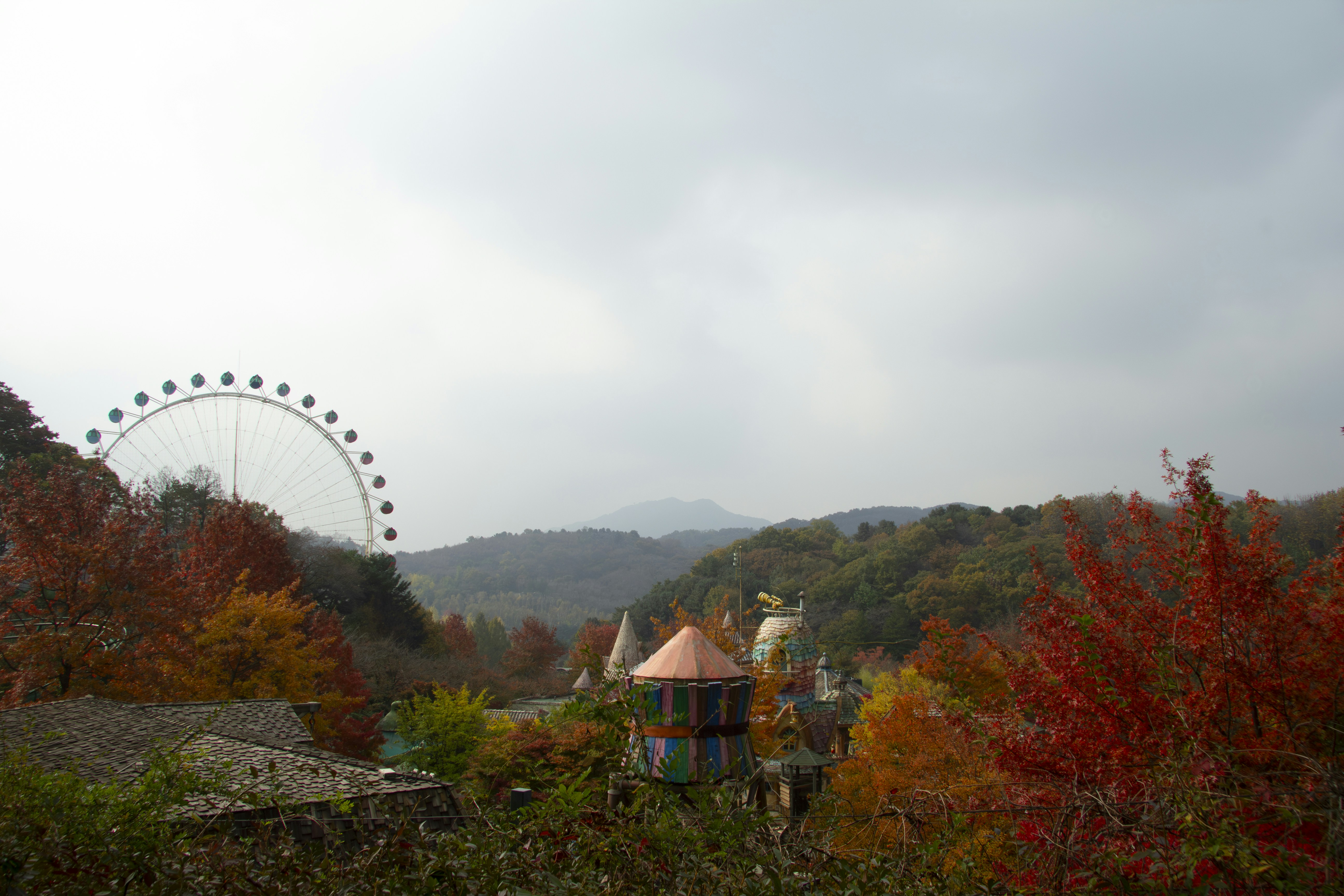an amusement park with a ferris wheel in the background