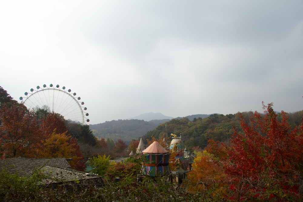 an amusement park with a ferris wheel in the background